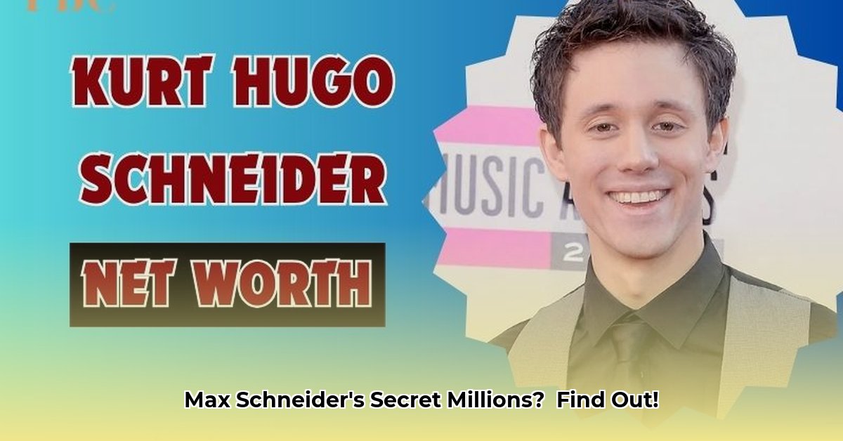max-schneider-net-worth